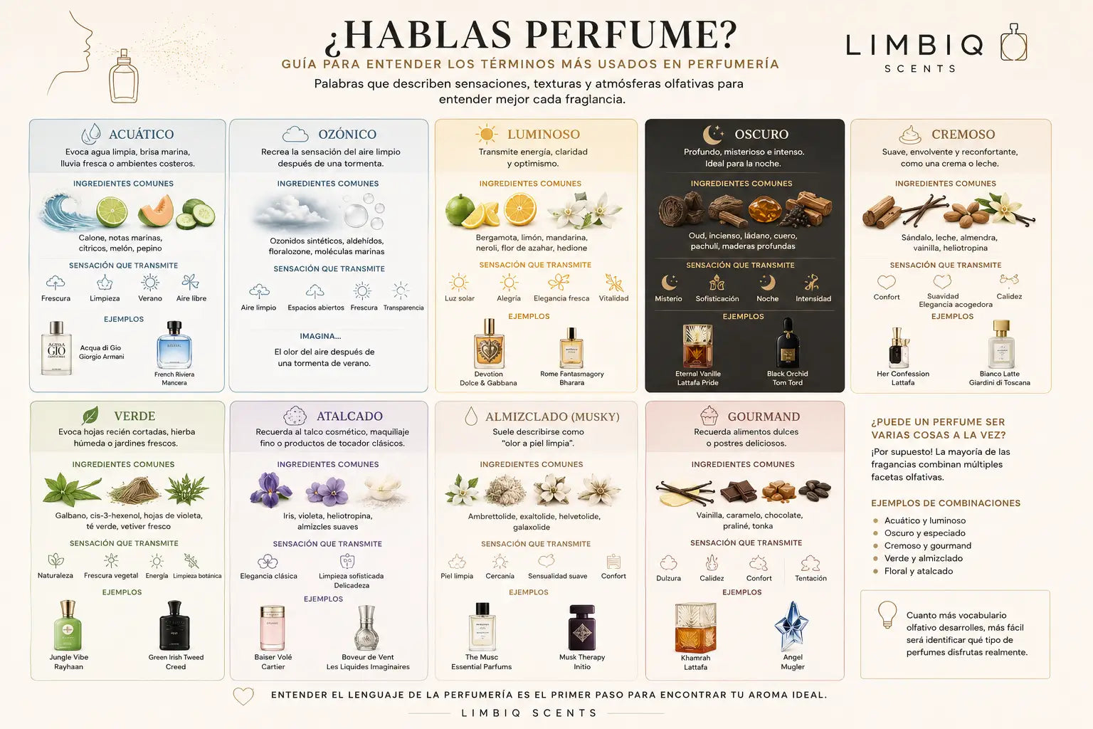 ¿Hablas perfume? Guía para entender términos como acuático, ozónico, luminoso, oscuro y más