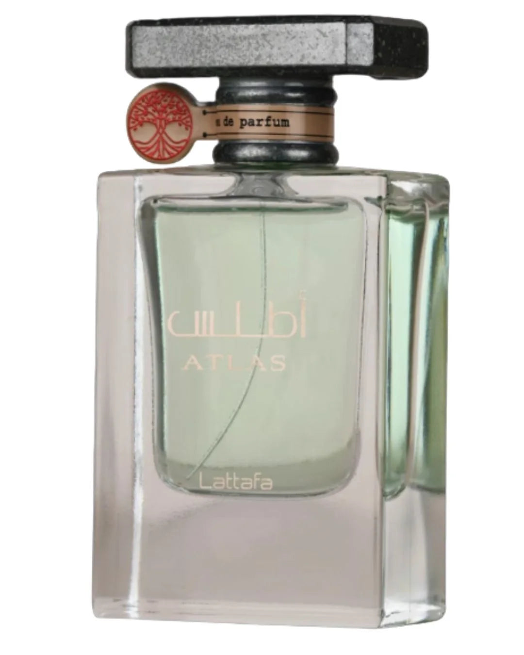 Atlas de Lattafa  - Inspirado en  Megamare de Orto Parisi | Limbiq Scents